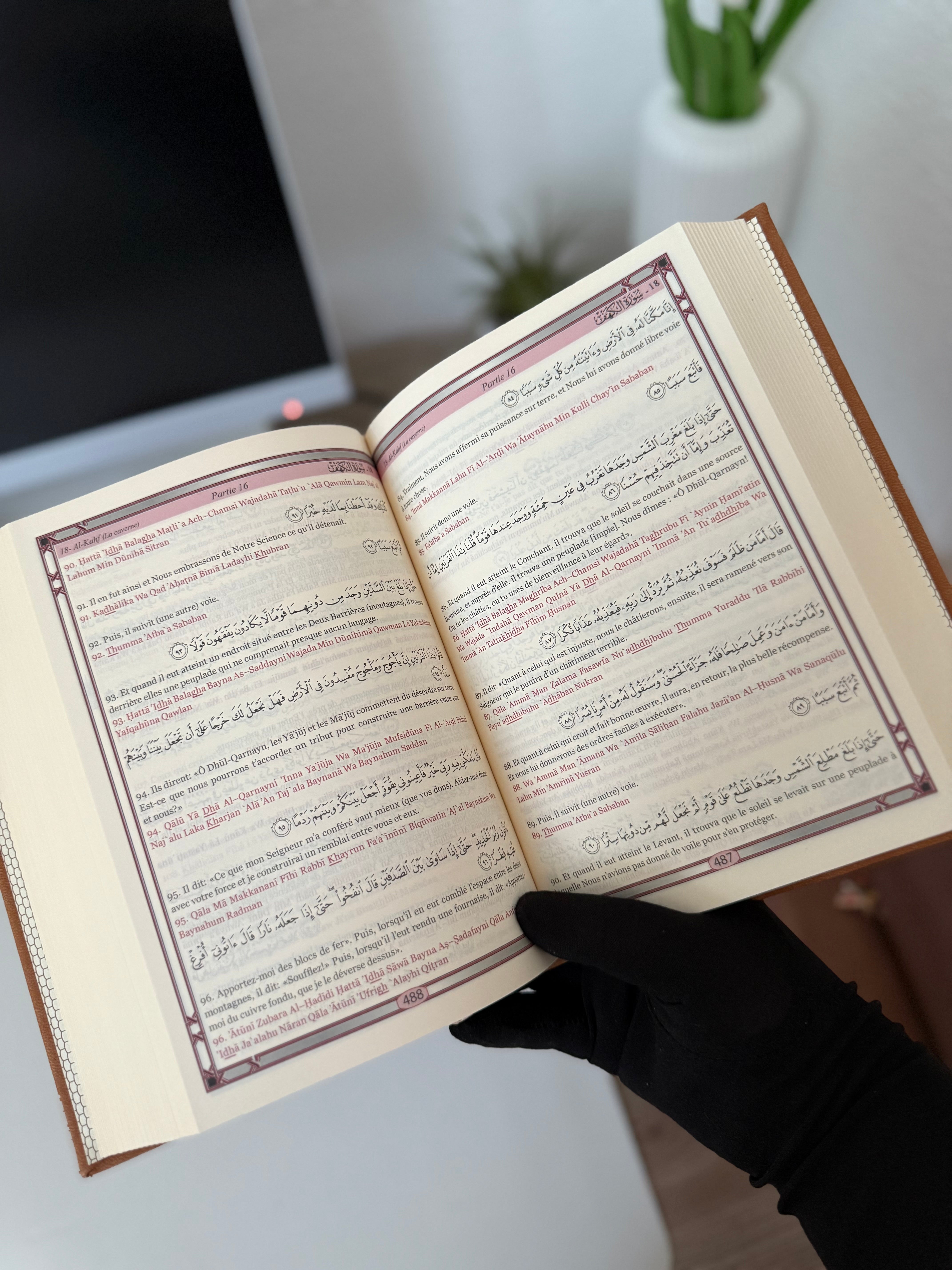 Le Saint Coran - Transcription phonétique (de l'arabe) et Traduction des sens en français et arabe - Edition de luxe (Couverture en cuir couleur Marron)