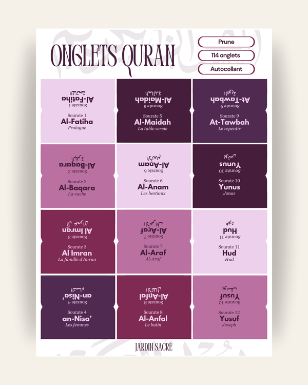 Onglets Coran prune